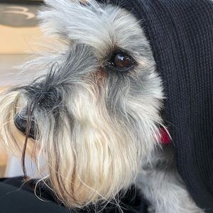 Meet your Posher, Jackie